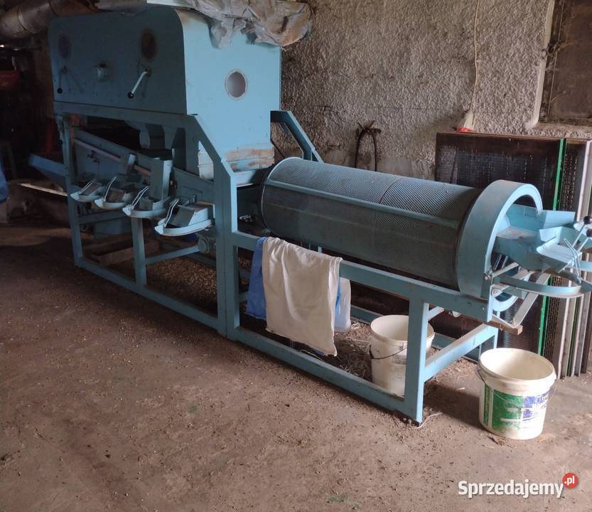 Jęczmień jary Florence Szwagrów