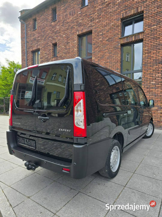 Peugeot Expert Brygadówka 6 Osobowy Zarejestrowy Rywałd