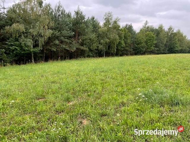 Sprzedam działkę rekreacyjną podkarpackie Bierówka