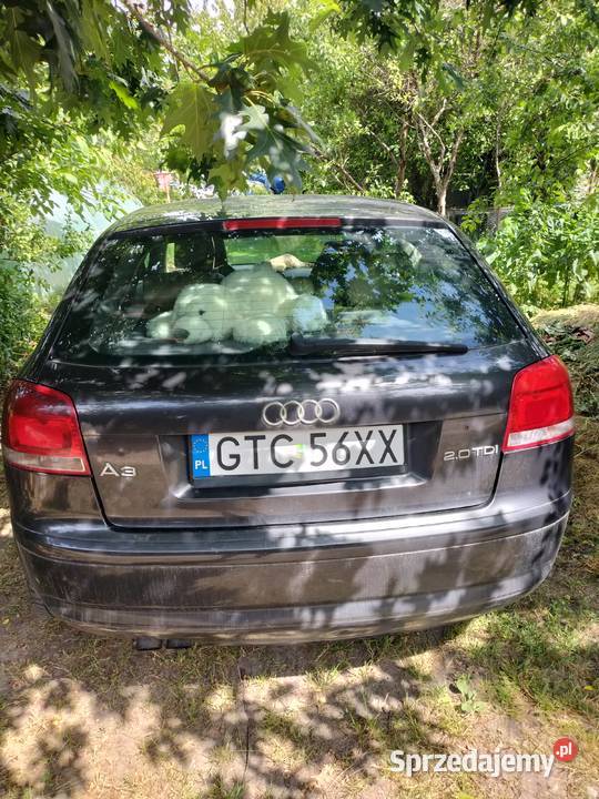 audi a3 Sztum