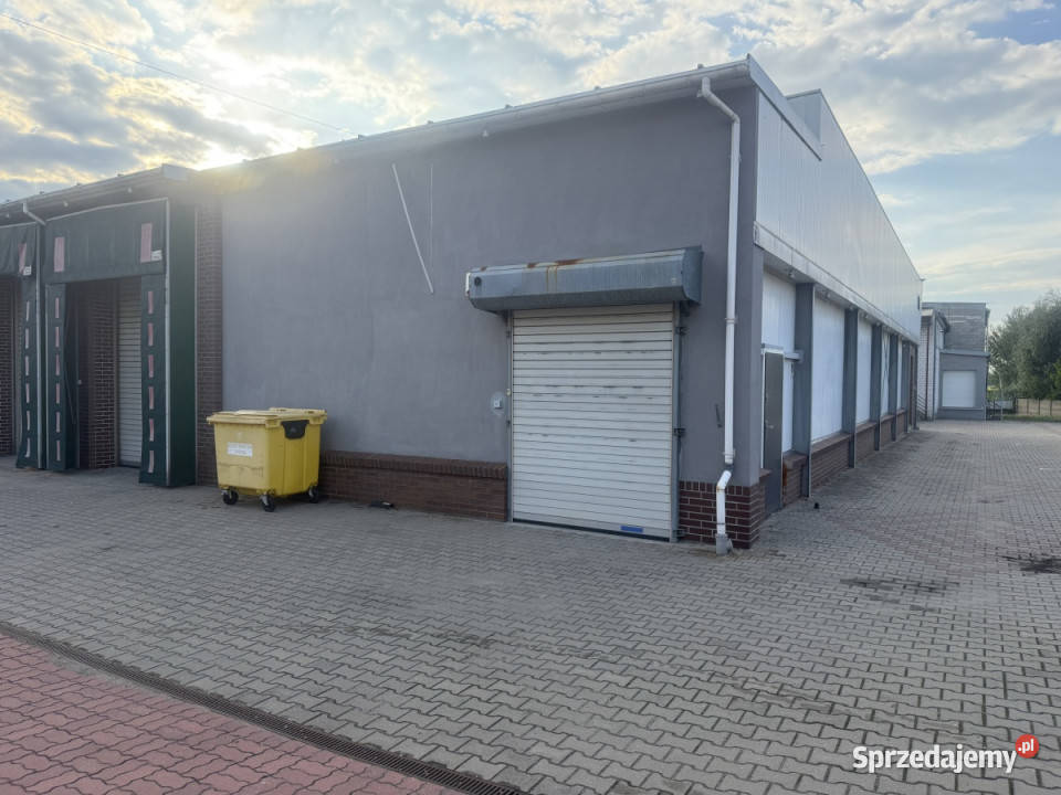 Powierzchnia magazynowa do wynajęcia 270m2 Pabianice