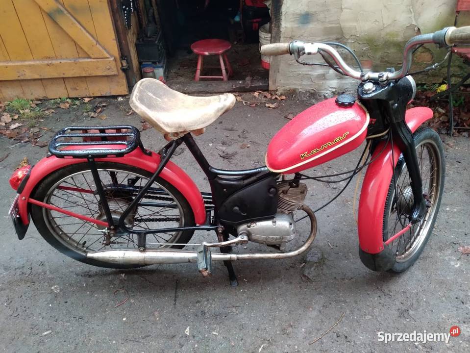 Komar Sztywniak Ciechanowice