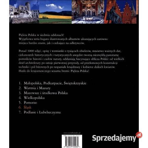 Adam Dylewski Śląsk