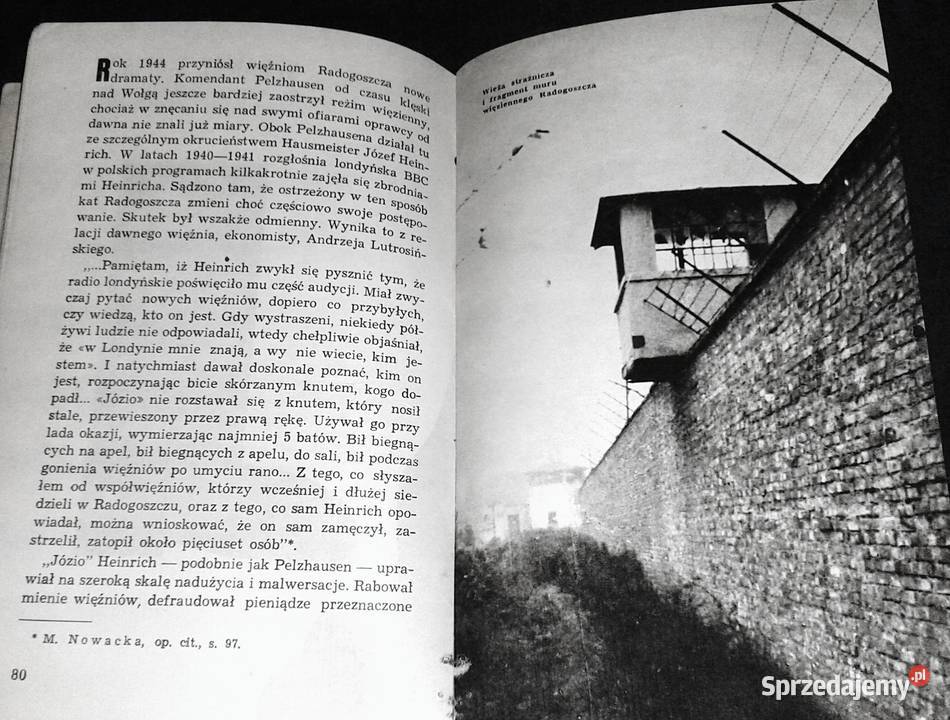 Radogoszcz Stanisław Lewicki Chełm