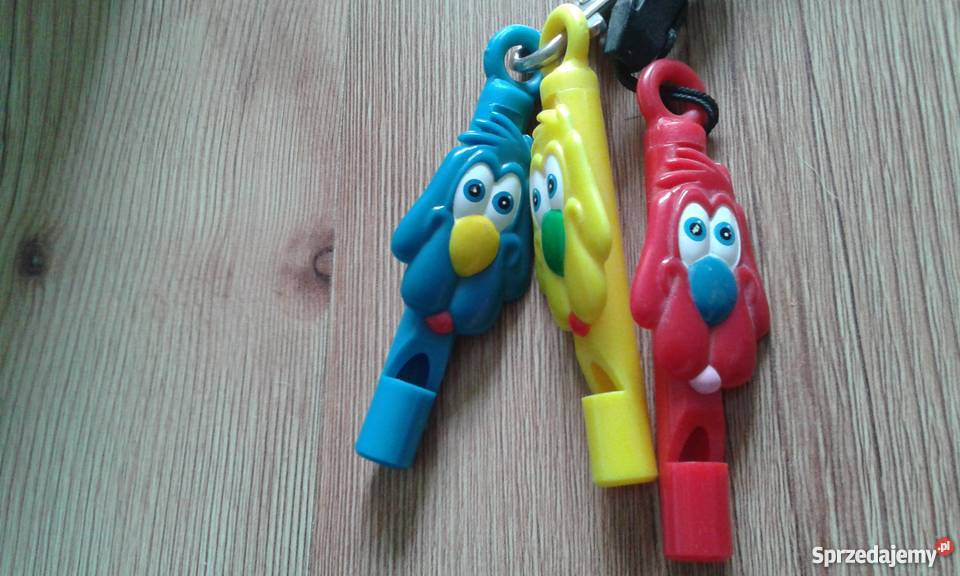 Piesek Bobby Epee Jastrzębie-Zdrój