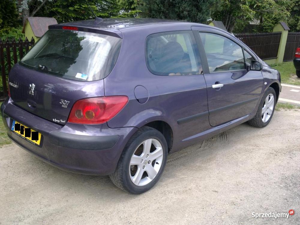 Peugeot 307 Ostrów Wielkopolski