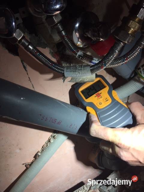 Wykrycie wilgoci pleśni grzyba pomiary Kryniczno Wrocław