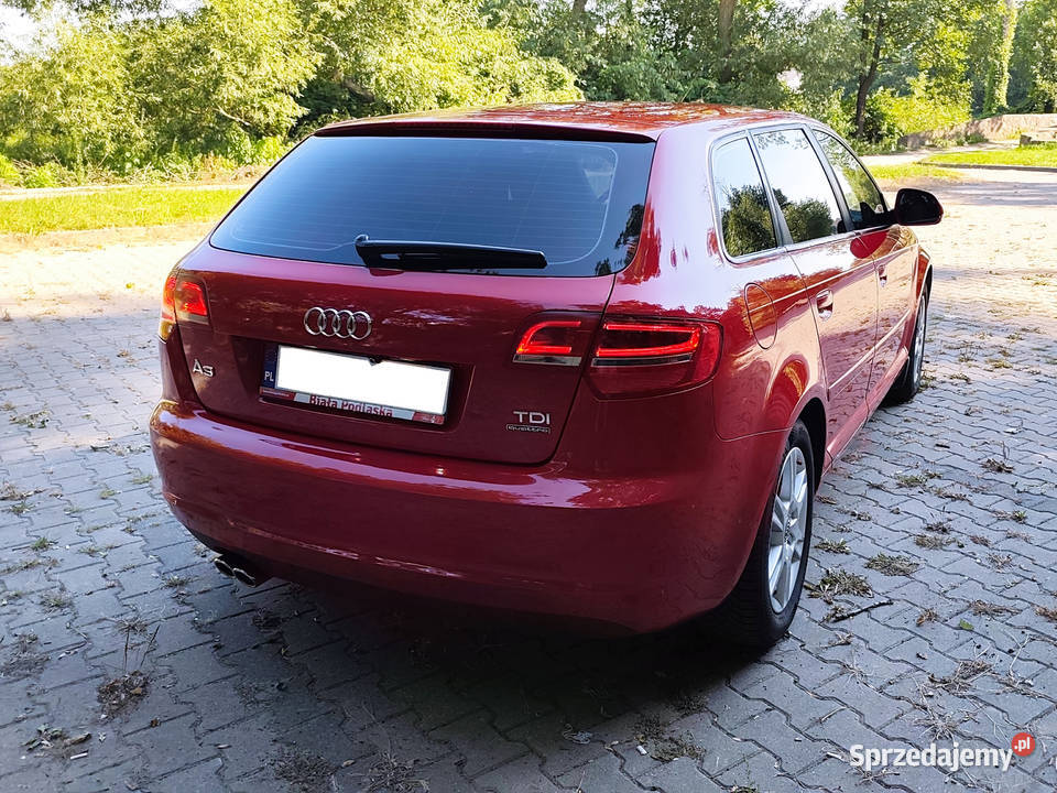 Audi A3 8P 20 TDI Sportback DPF quattro 140 Hatchback Konstantynów