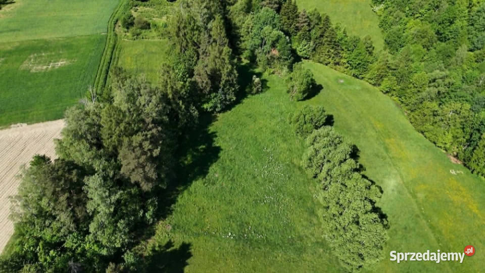 Działka BudowlanoRolna Nawojowa Sprzedaż