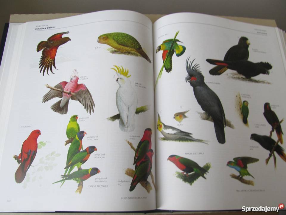 WIELKA ENCYKLOPEDIA PTAKÓW Perrins ChM Zielona Góra
