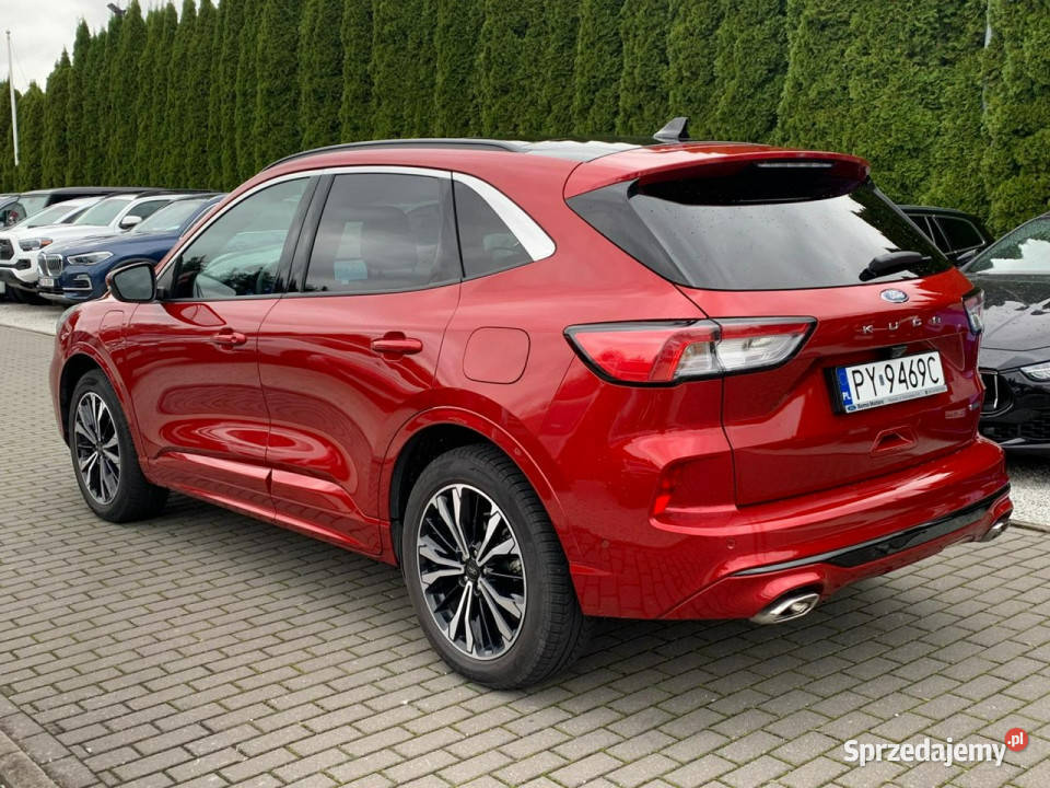 Ford Kuga 25 Duratec PlugIN STLINE Panorama 2488cm3 wielkopolskie Baranowo