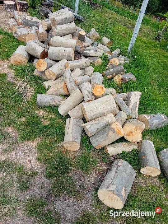 Drzewo na opał kominkowe Wielopole Skrzyńskie