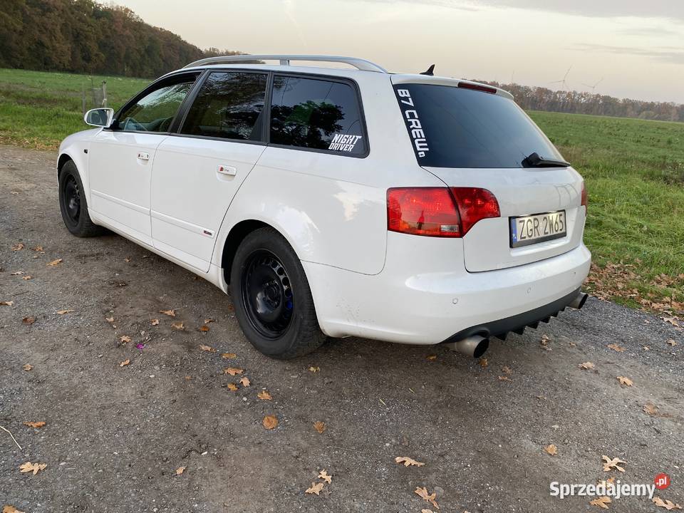 Audi A4 B7 20 TDI 2000cm3 Banie