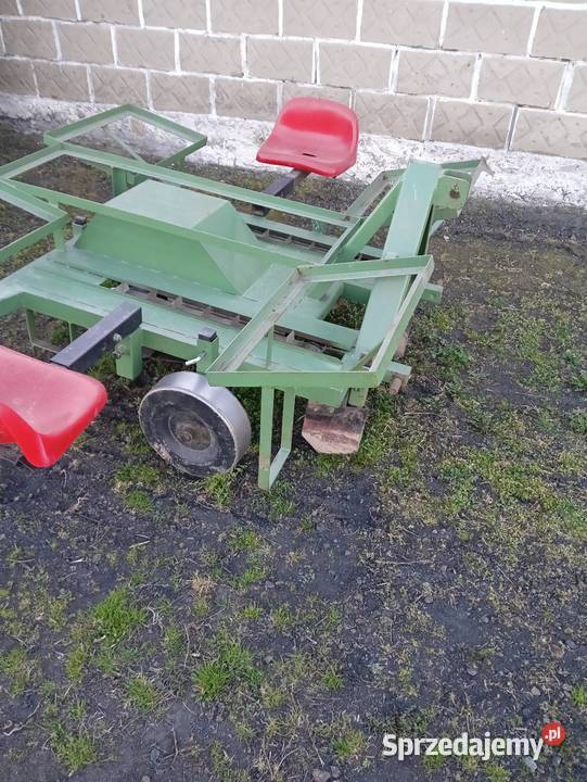 Sadzarka do ziemniaków podkiełkowanych mazowieckie Płońsk