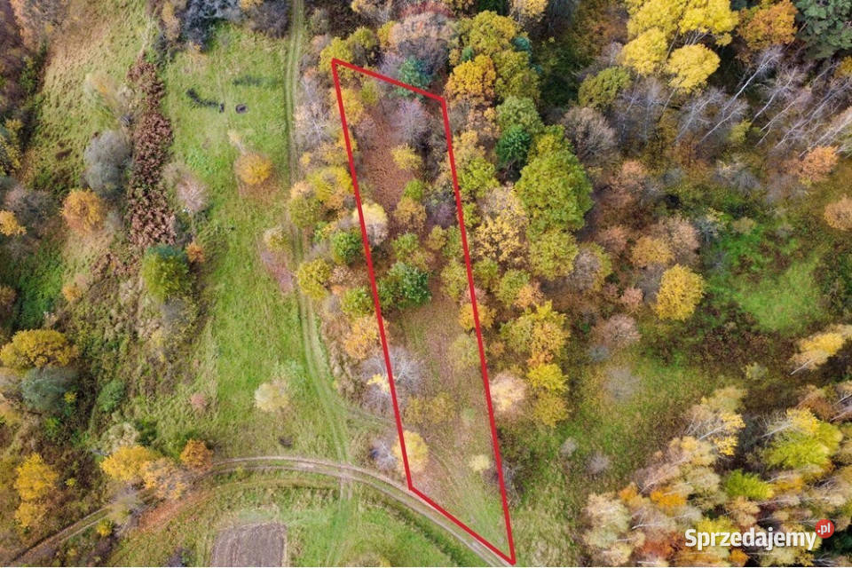 Działka leśna 862 m w Oczkowie Żywiec sprzedam