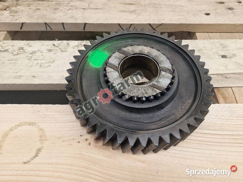 Koło zębate żółwia Massey Ferguson 3070 3085 Byków