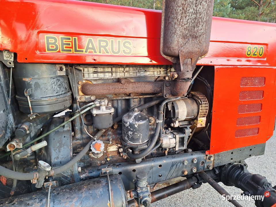 Mtz Sejny