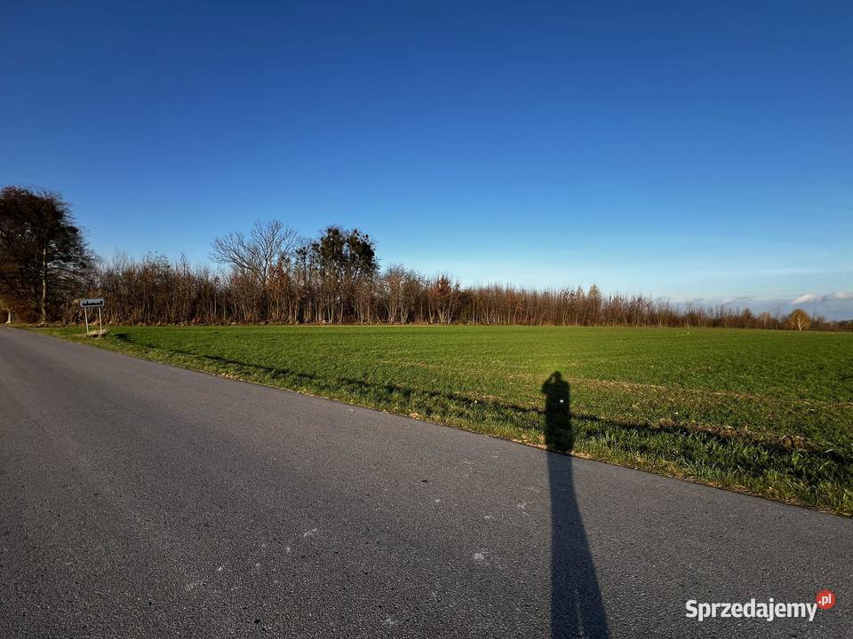 Krasnysta Działka zagrodowa do zabudowy 90a budowlana Zastawie-Kolonia