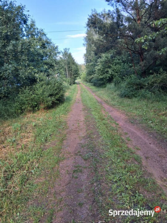 Działka budowlana lesie na sprzedaż 800m2 12 800m2 Kranów