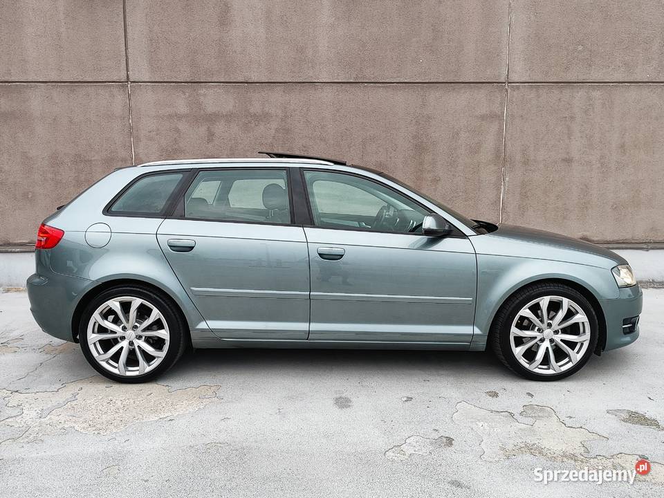 Audi A3 8P 2012 16TDI LedXen Panorama Hak tempomat