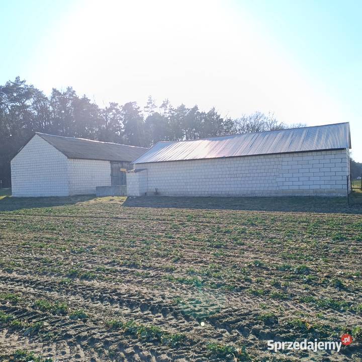 Sprzedam dom pole chętnie razem Wólka 240m2 Wólka Pukarzowska