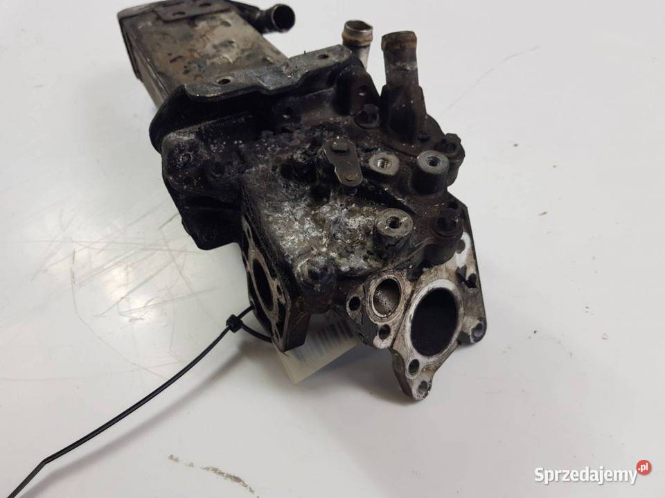 CHŁODNICZKA SPALIN A6511400075 MERCEDES W212 Pozostałe Motoryzacja Lipno