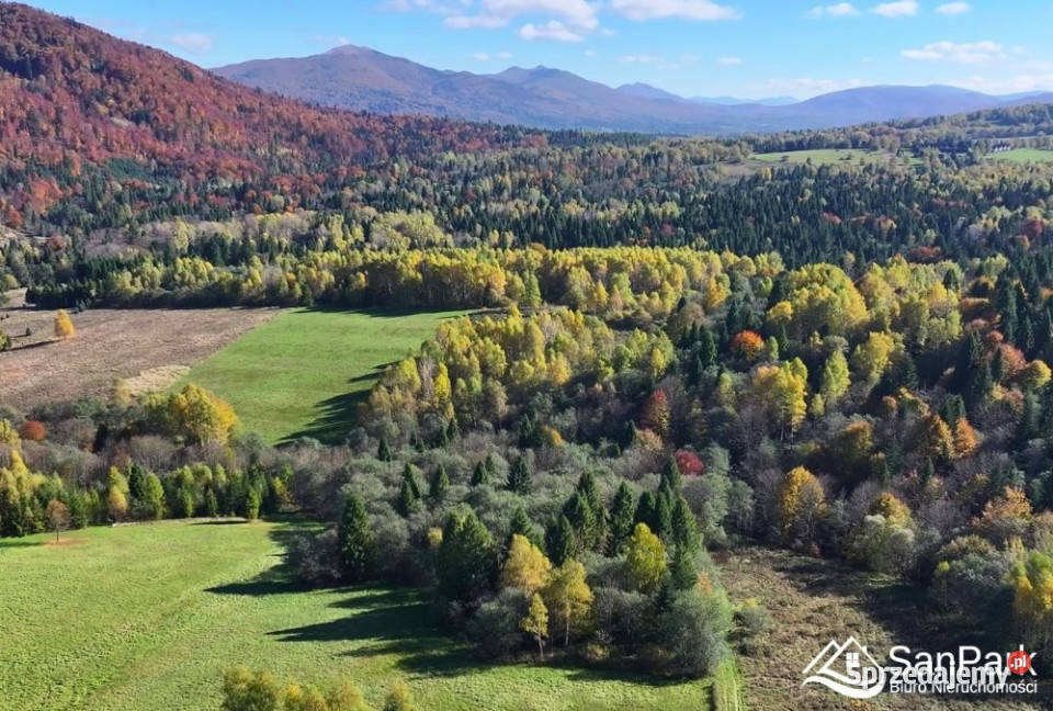 Grunt Krzywe 10100m2 Sprzedaż