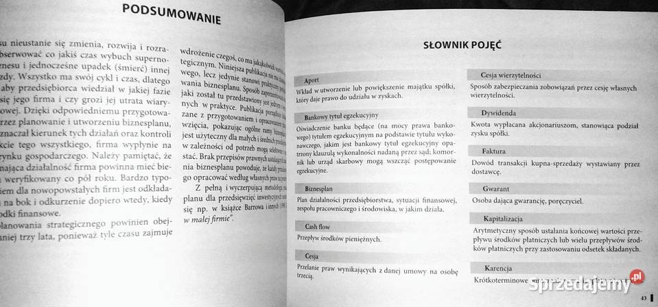 napisać poprawny biznesplan Beata sprzedam