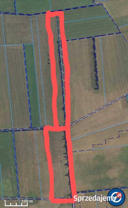 Sprzedam dwie łąki podlaskie Grajewo sprzedam