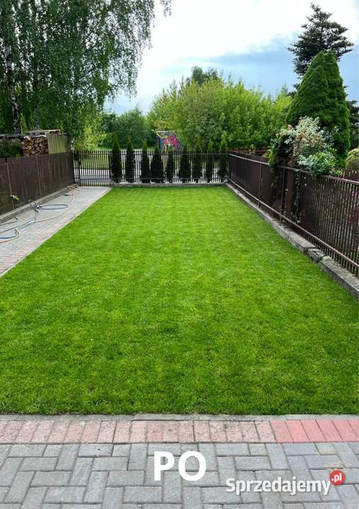 Trawniki w rolce Trawa rolowana Najlepsza Częstochowa