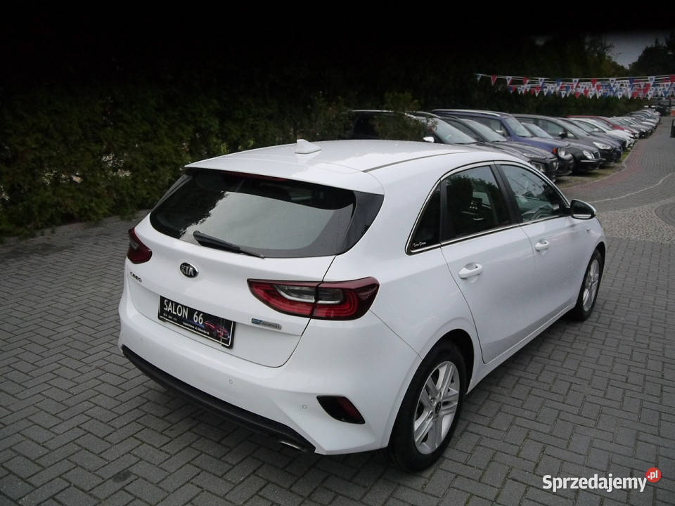Kia Ceed HYBRYDA Navi Stan b 100bezwypadkowy z tempomat Kia śląskie