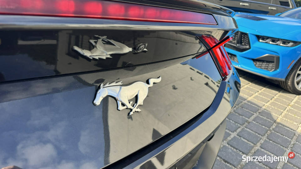 Ford Mustang Cabrio 23 290 Wentyle Radar Kamera tempomat Gdynia