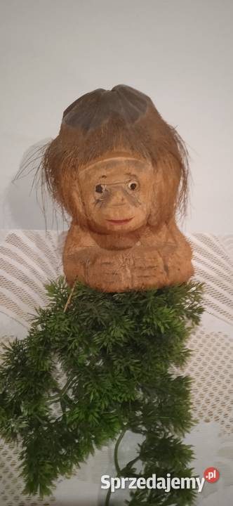 Stara rzeźba z kokosa Świdnica