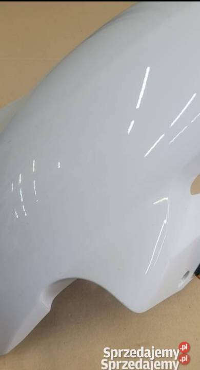 Bmw S 1000 RR K 46 s1000rr błotnik przód przedni wielkopolskie Nowy Tomyśl