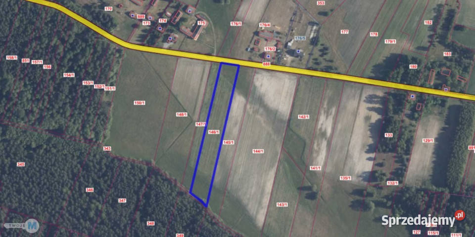 Sprzedaż gruntu 8000m2 Kluczewsko prąd świętokrzyskie