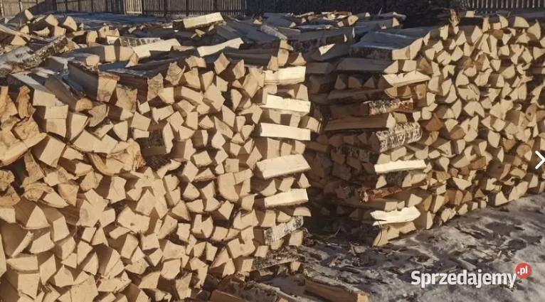 Różne rodzaje drewna opałowegokominkowego Nasy