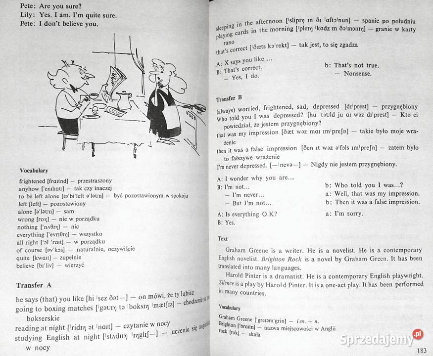 English as Experience Tom 12 Leon Leszek Rok wydania 1990 Chełm
