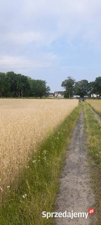 Działki budowlane na sprzedaż Hetmanice sprzedam