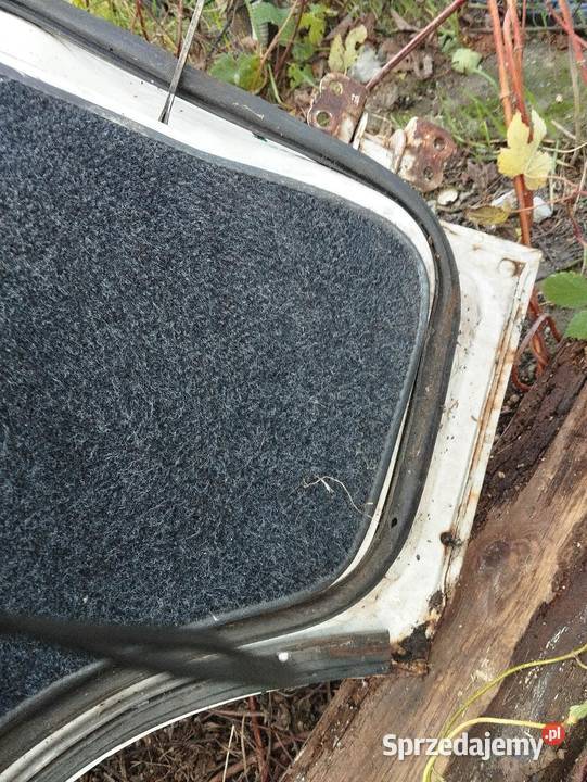 Drzwi Hyundai H100 strona pasażera Poznań sprzedam