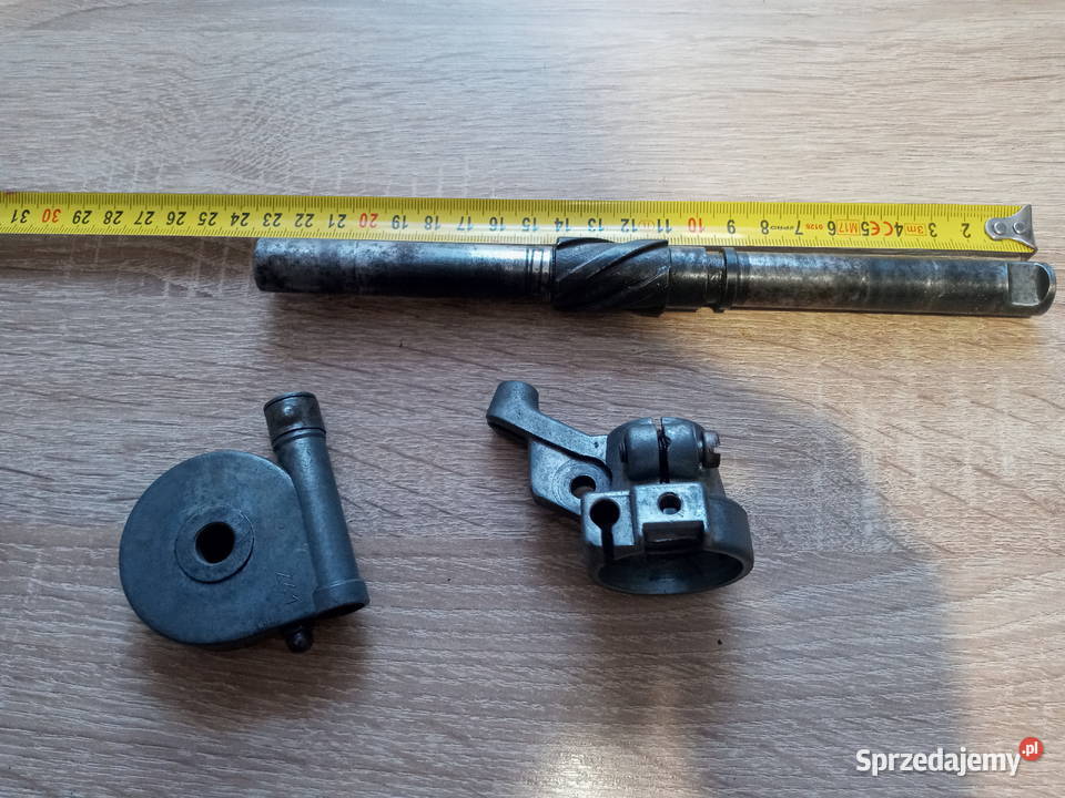 komar żak wielkopolskie