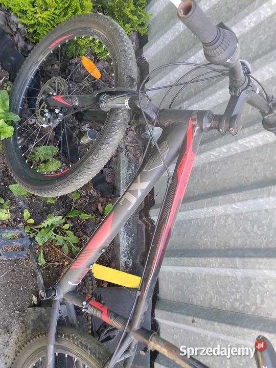 Rower 24 mtb Żychlin