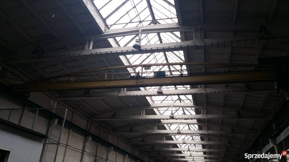 suwnica jednobelkowa elektryczna wielkopolskie Poznań