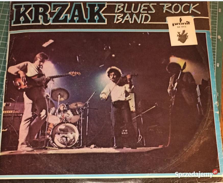 Płyta winylowa KRZAK Blues Rock Band 1 płyta Płyty i kasety Cieszyn sprzedam