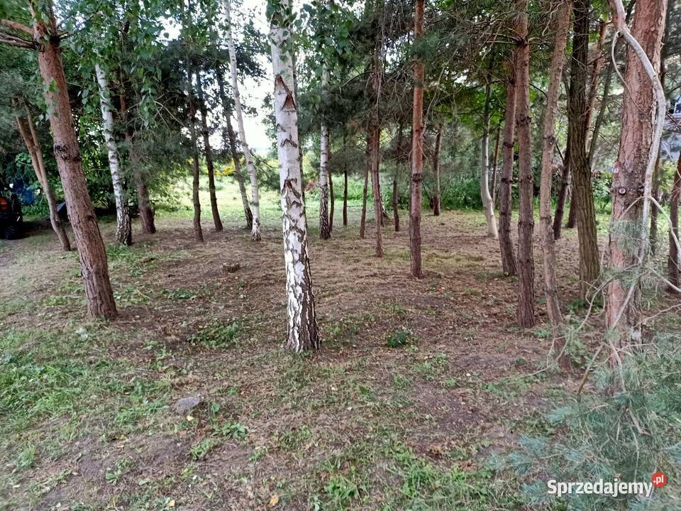 PRACE PORZĄDKOWE OCZYSZCZANIE POSESJI mazowieckie Kawęczyn