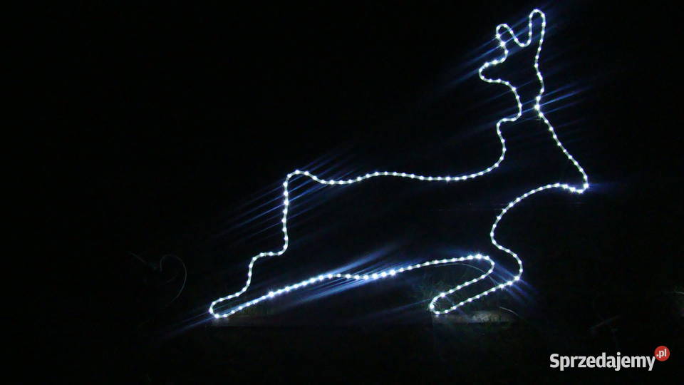 Renifer ozdoba świąteczna LED 2D