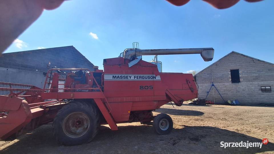 Kombajn Massey Ferguson MF 805 Dąbie