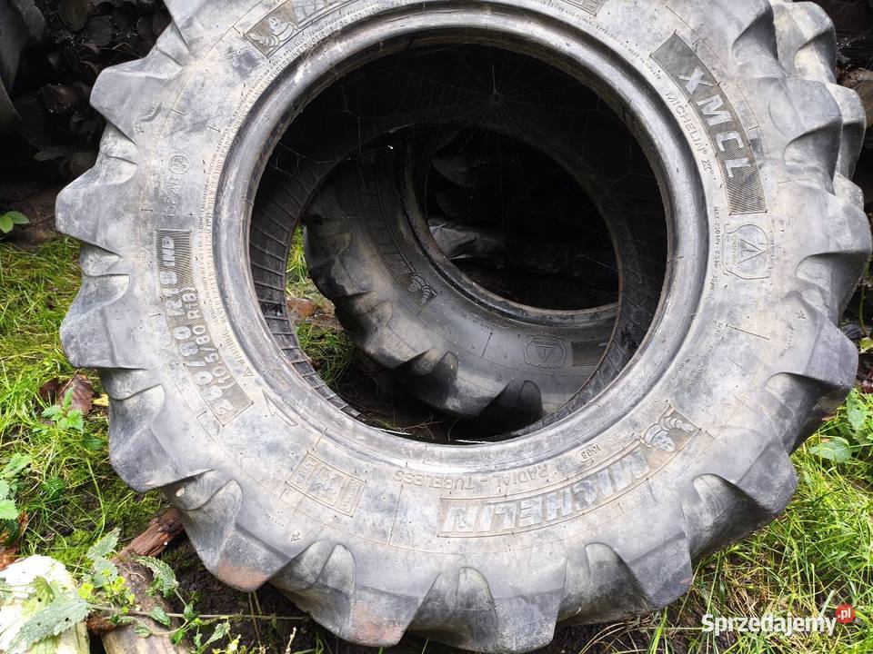 Opony Michelin 2808018 1058018 Orły