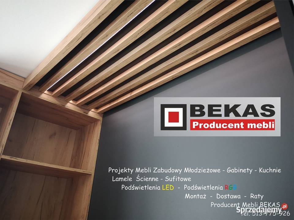 Meble na wymiar Pokój dzieci Kuchnia Salon Gliwice