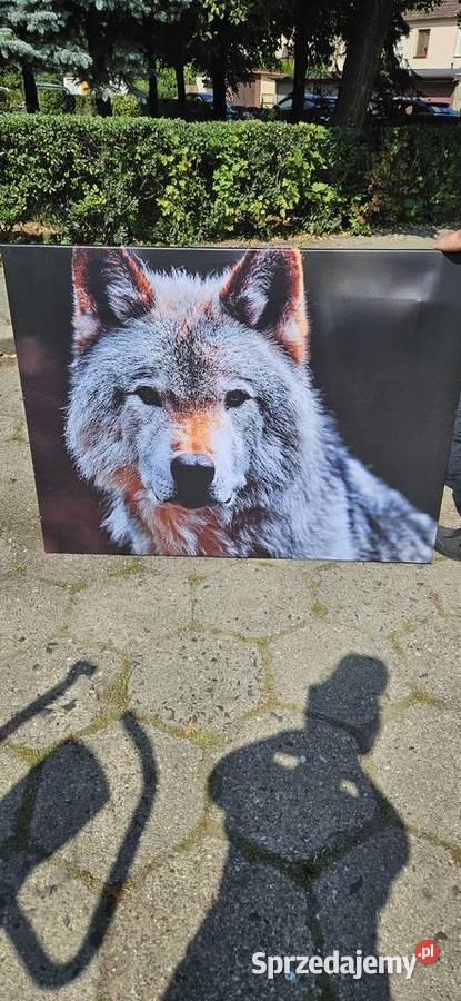 Obrazy ścienne Ostrów Wielkopolski sprzedam