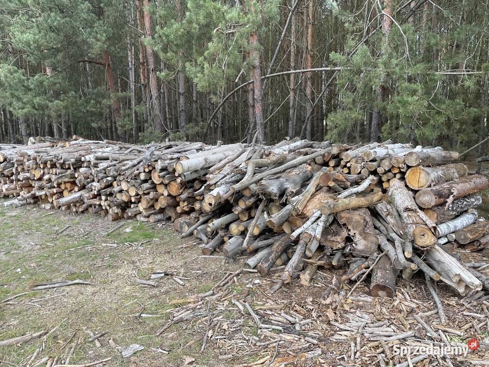 Drzewo na opał tanio Białobrzegi